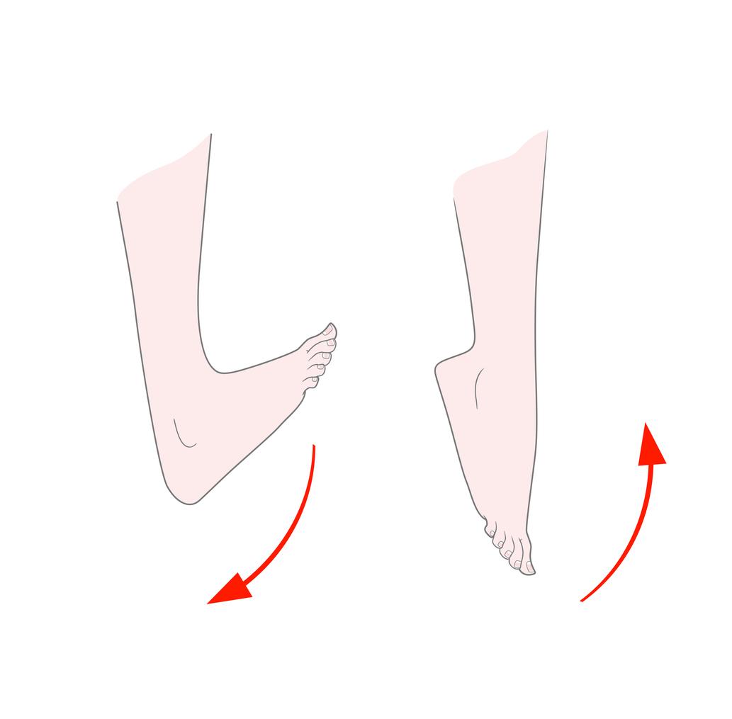 Ankle Circles Ankle Circles